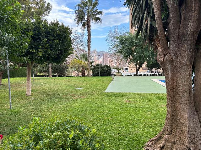 Imagen 11 Inmueble 290525 - Apto. Playa en venta en Benidorm / Avenida de europa