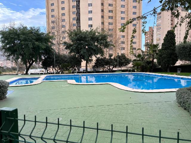 Imagen 16 Inmueble 290525 - Apto. Playa en venta en Benidorm / Avenida de europa