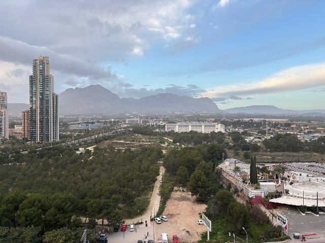 Imagen 19 Inmueble 290525 - Apto. Playa en venta en Benidorm / Avenida de europa