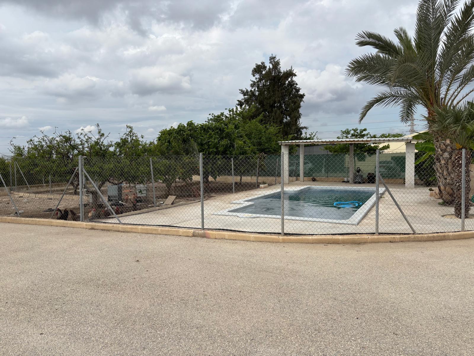 Imagen 12 Apartamento en venta en Elche/elx / Eleche  carretera de matola