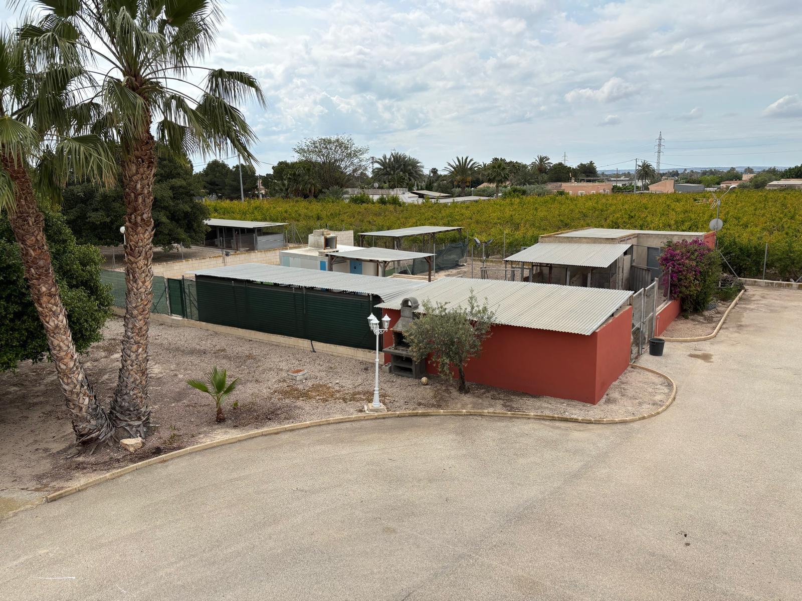 Imagen 14 Apartamento en venta en Elche/elx / Eleche  carretera de matola