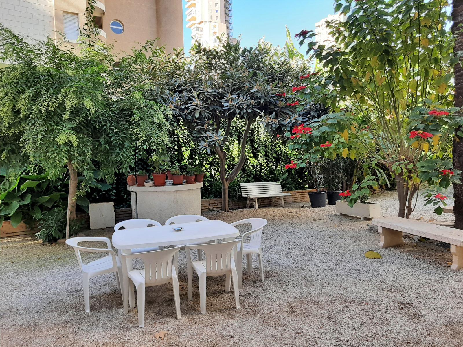 Imagen 11 Apto. Playa en venta en Benidorm / Calle cuenca con av del mediterraneo