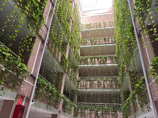 Imagen 20 Inmueble 300138 - Apto. Playa en venta en Torrevieja / A cuatro calles de la playa zona centro