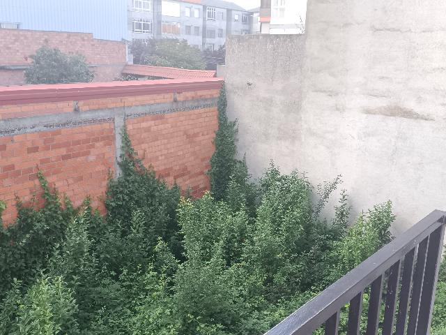 Imagen 12 Inmueble 274711 - Casa Pareada en venta en Xinzo De Limia / Muy cerca de oficina de Abanca