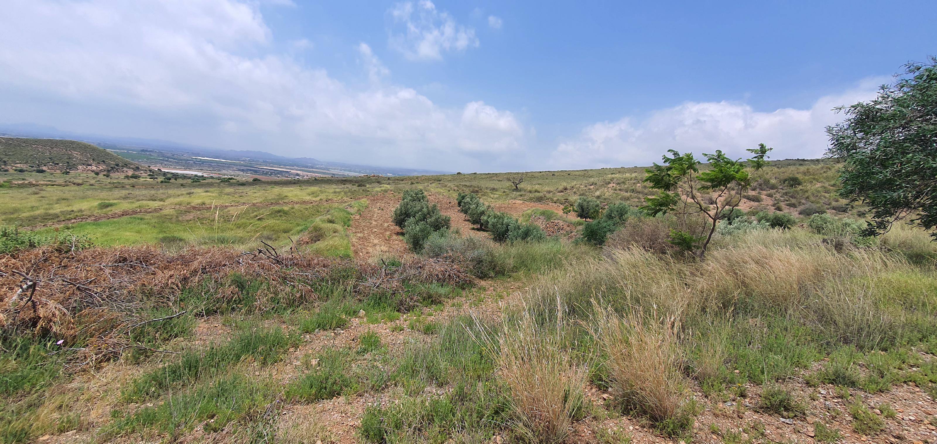 Imagen 4 Casa Rústica en venta en Lorca / Ubicado en Las Norias, limite provincia Murcia-Almeria