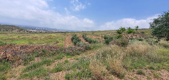 Imagen 4 Inmueble 274845 - Casa Rústica en venta en Lorca / Ubicado en Las Norias, limite provincia Murcia-Almeria