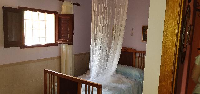 Imagen 7 Inmueble 274845 - Casa Rústica en venta en Lorca / Ubicado en Las Norias, limite provincia Murcia-Almeria