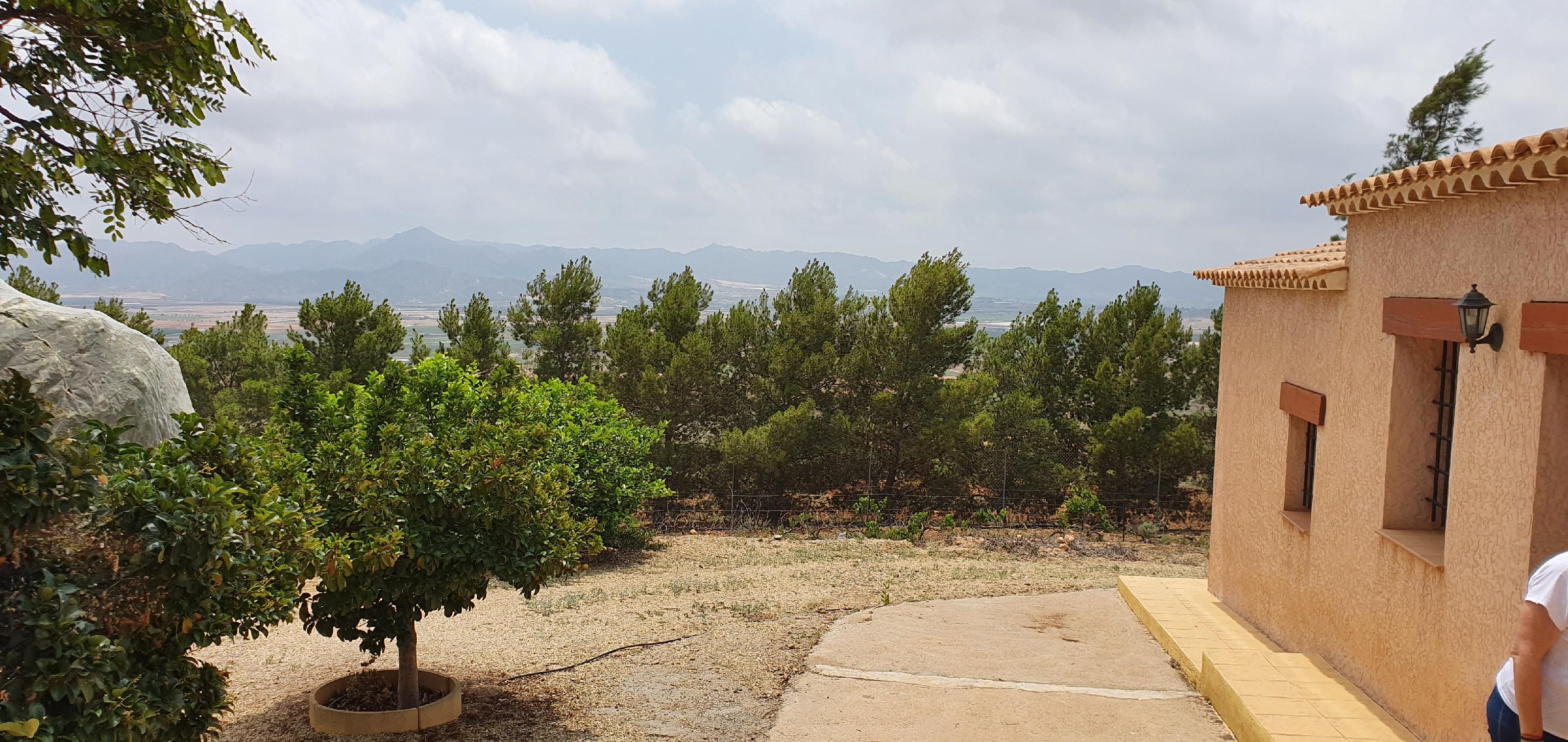 Imagen 11 Casa Rústica en venta en Lorca / Ubicado en Las Norias, limite provincia Murcia-Almeria