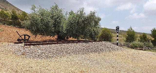 Imagen 21 Inmueble 274845 - Casa Rústica en venta en Lorca / Ubicado en Las Norias, limite provincia Murcia-Almeria