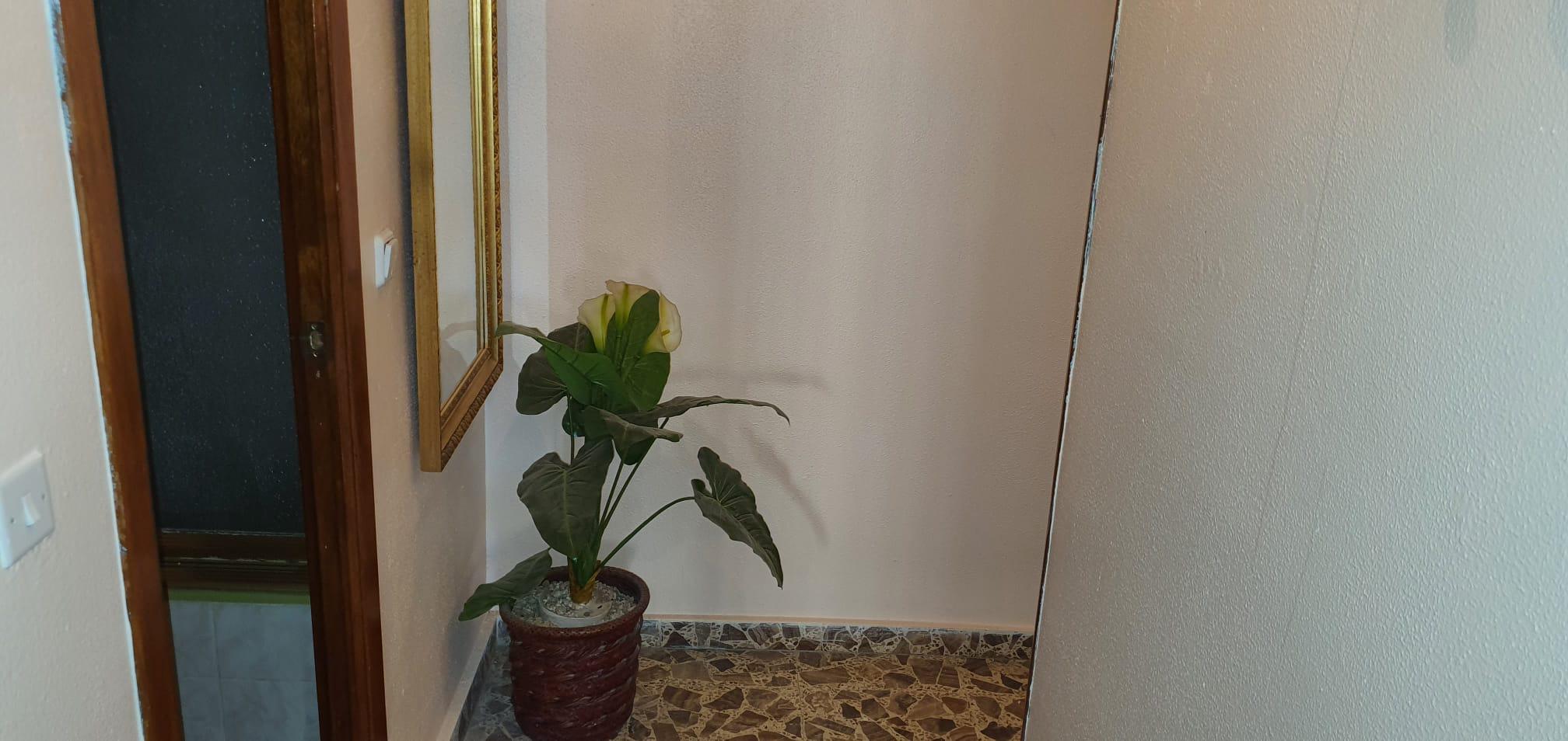 Imagen 3 Piso en venta en Hellín / Zona Mercadona-Gran Via