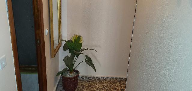 Imagen 3 Inmueble 275594 - Piso en venta en Hellín / Zona Mercadona-Gran Via