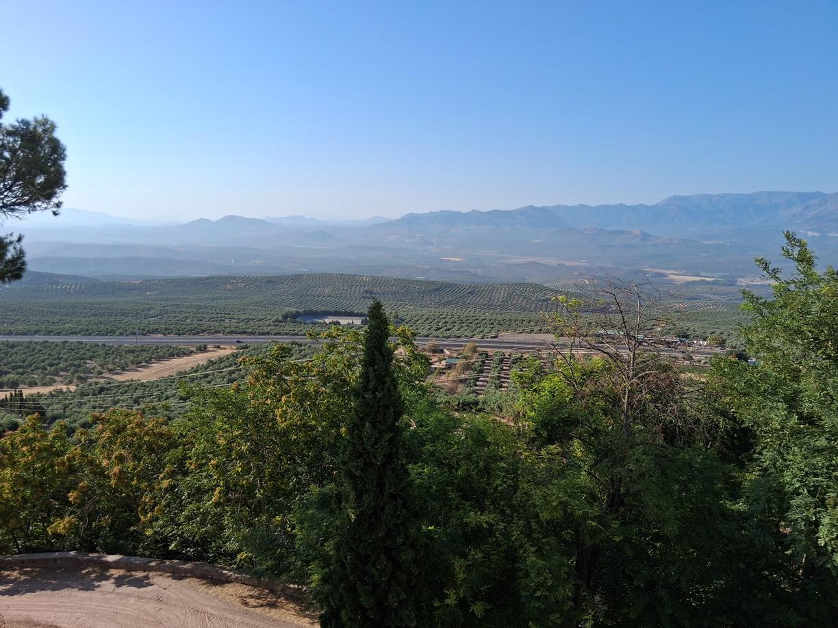 Imagen 21 Casa Adosada en venta en Baeza / Casa en la mejor zona del Murallas de Baeza. 