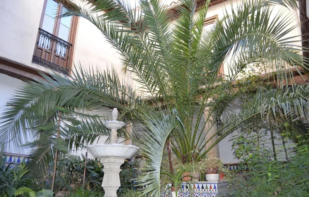 Imagen 6 Casa Adosada en venta en Baeza / Casa solariega en el centro de Baeza.