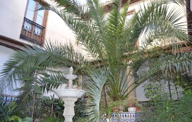 Imagen 6 Inmueble 288234 - Casa Adosada en venta en Baeza / Casa solariega en el centro de Baeza.