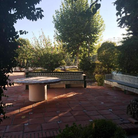 Imagen 11 Inmueble 290007 - Casa Aislada en venta en Baeza / Zona de chalets junto a la carretera acceso a Baeza.