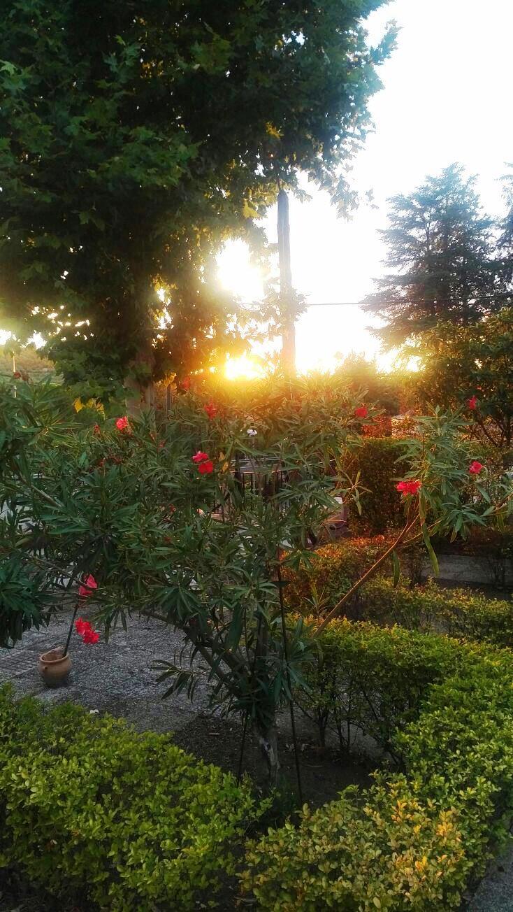 Imagen 18 Casa Aislada en venta en Baeza / Zona de chalets junto a la carretera acceso a Baeza.