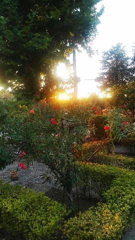 Imagen 18 Inmueble 290007 - Casa Aislada en venta en Baeza / Zona de chalets junto a la carretera acceso a Baeza.