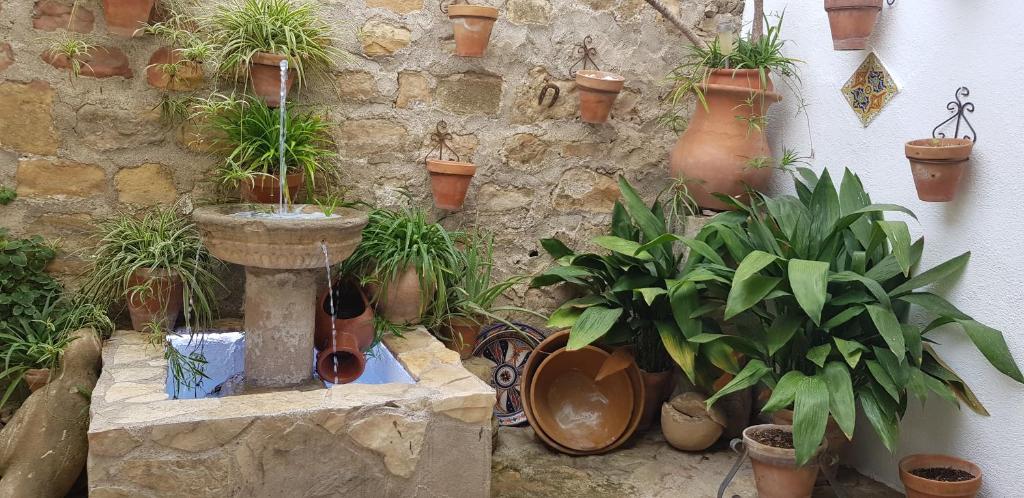 Imagen 20 Casa Adosada en venta en Baeza / En el centro de Baeza. Zona intramuros.