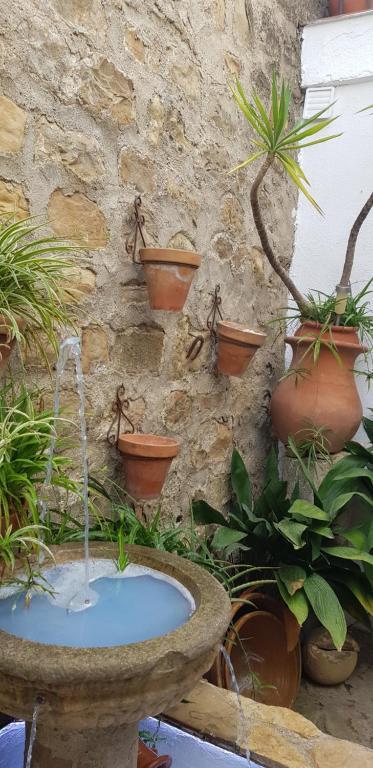 Imagen 24 Casa Adosada en venta en Baeza / En el centro de Baeza. Zona intramuros.