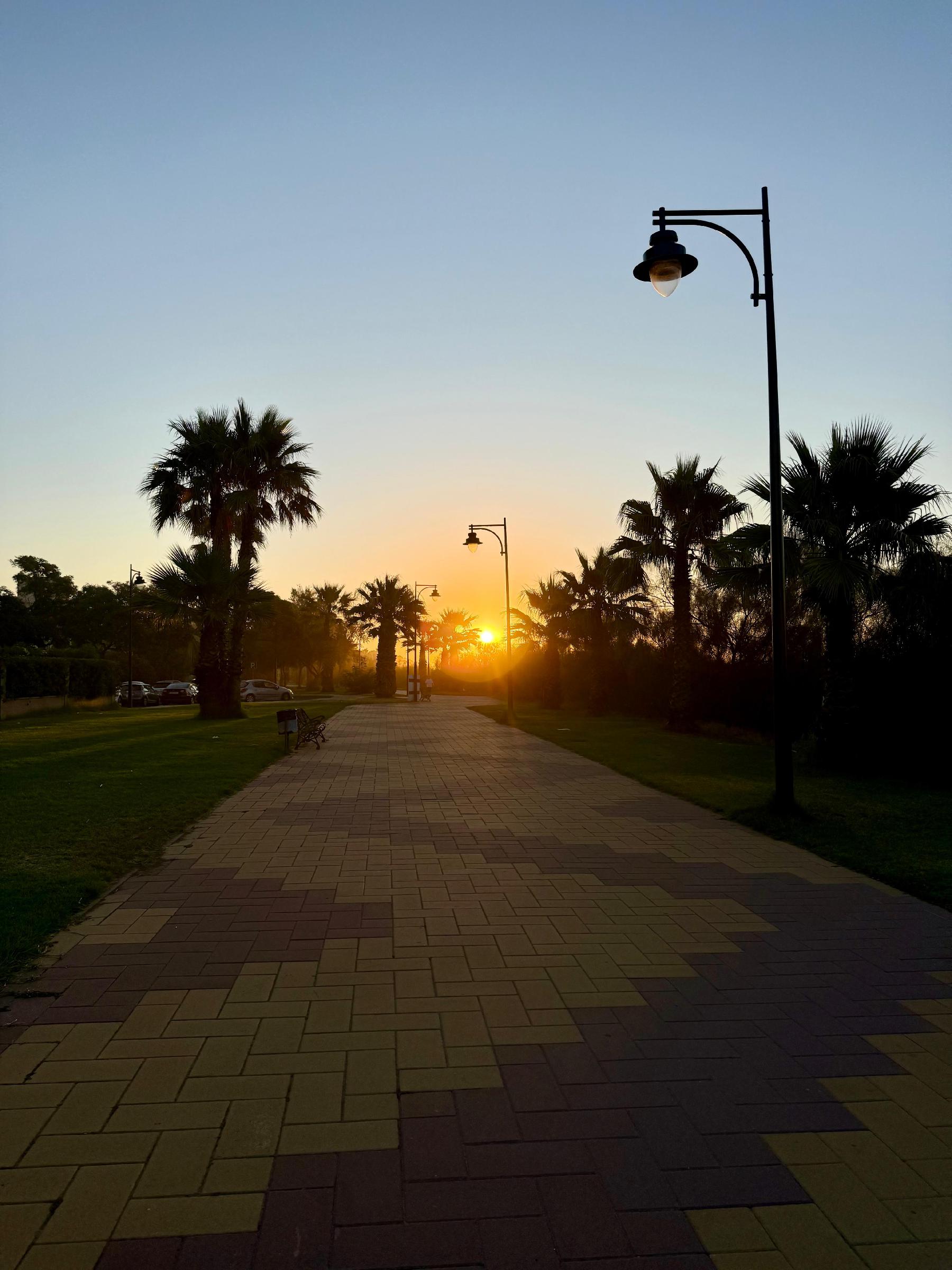 Imagen 29 Apto. Playa en venta en Ayamonte / Apartamento de 89m2 1hab,,Avenida de los Cisnes 