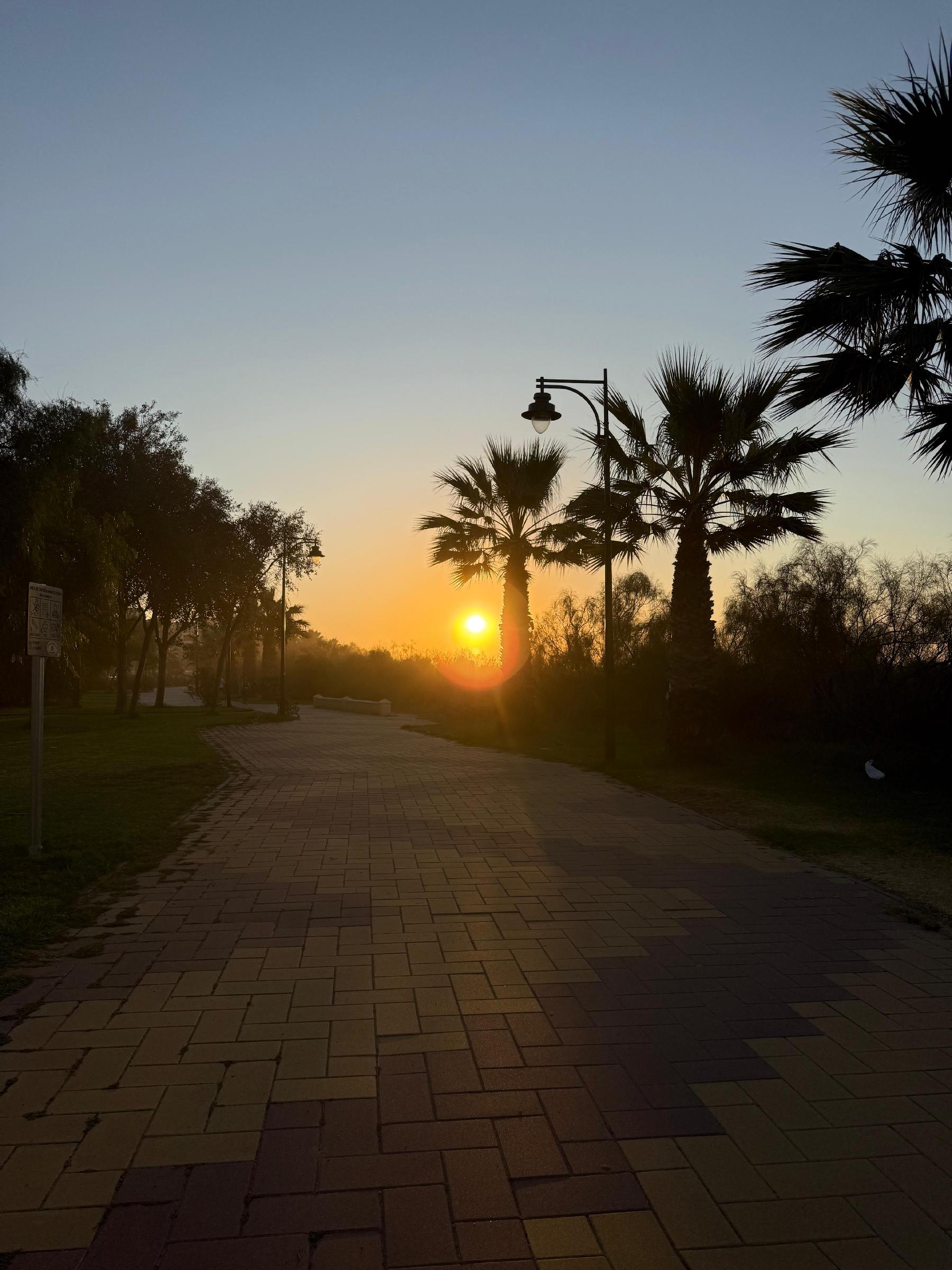 Imagen 30 Apto. Playa en venta en Ayamonte / Apartamento de 89m2 1hab,,Avenida de los Cisnes 