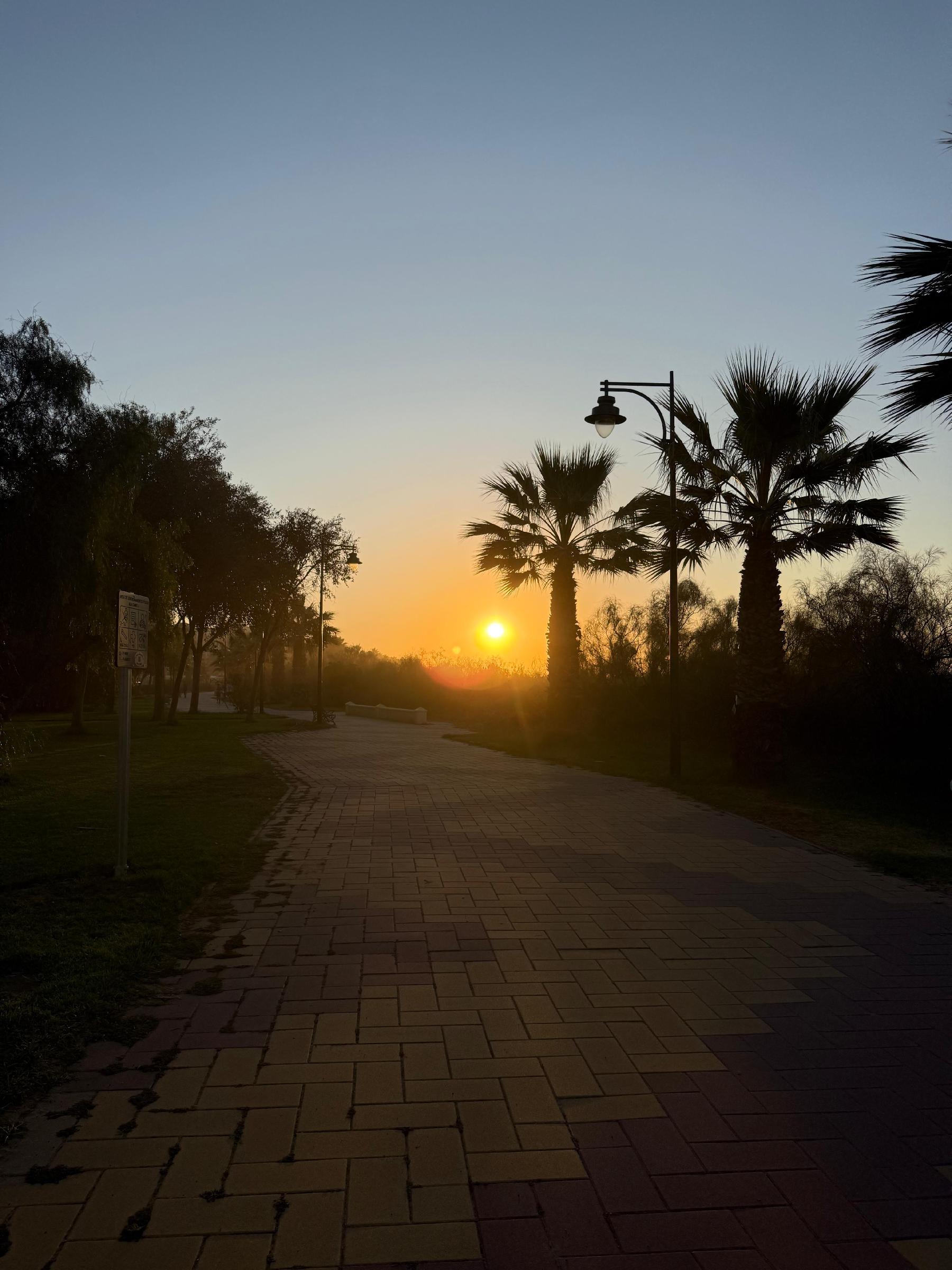 Imagen 31 Apto. Playa en venta en Ayamonte / Apartamento de 89m2 1hab,,Avenida de los Cisnes 