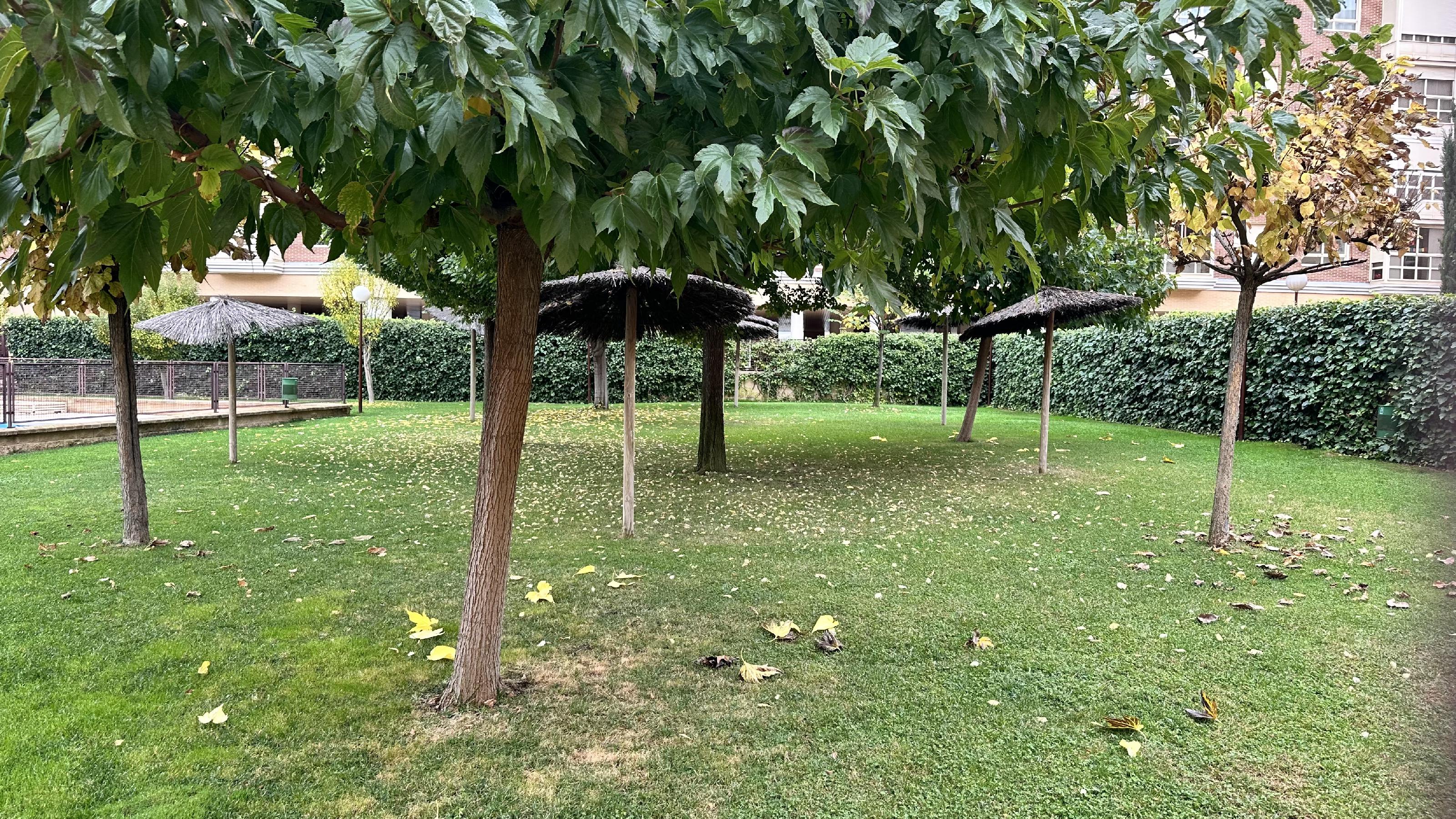 Imagen 35 Apartamento en venta en Madrid / Piso de 71m2 con terraza en Urb Torreón del Parque