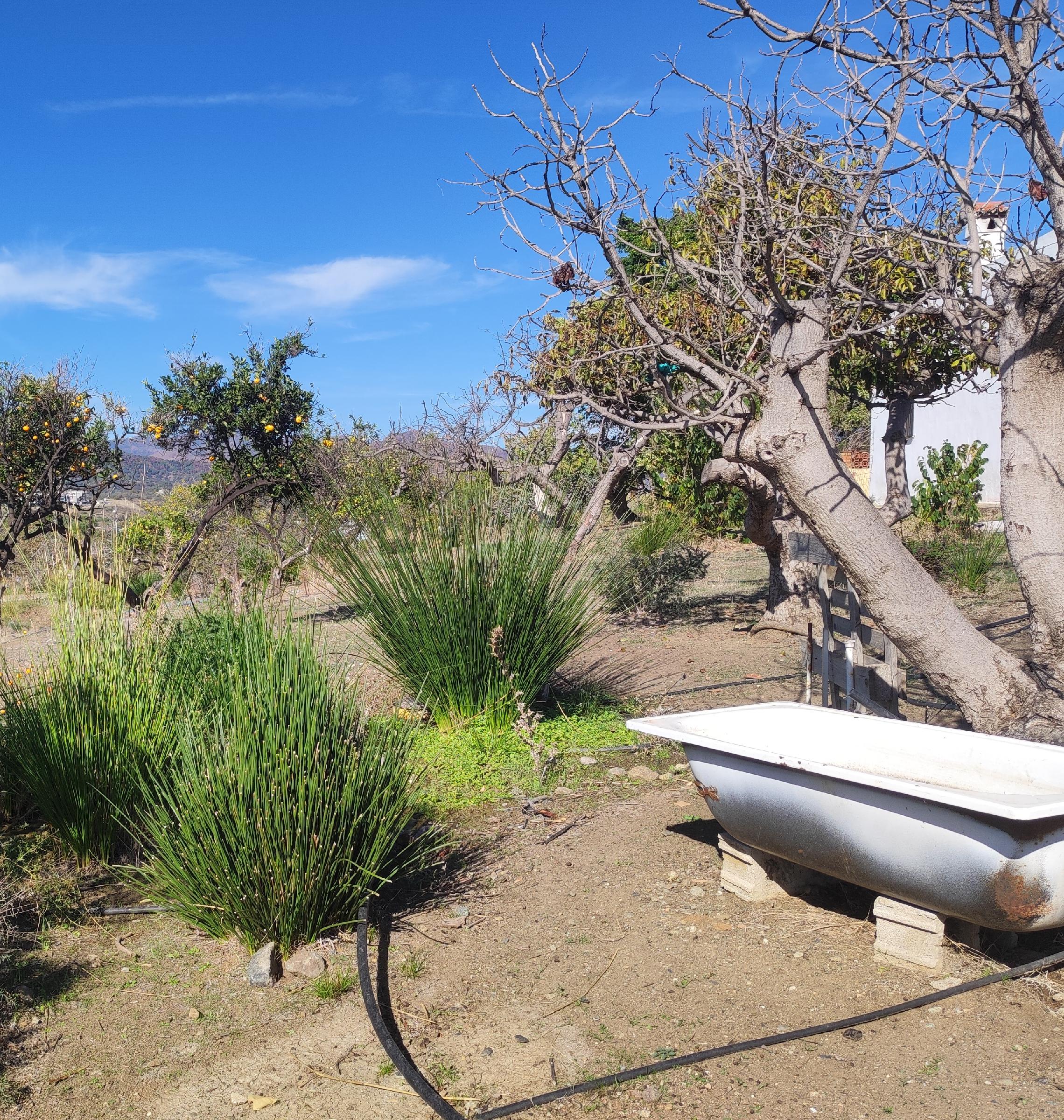 Imagen 6 Casa Aislada en venta en Estepona / Cerca de Guadalmansa, Estepona