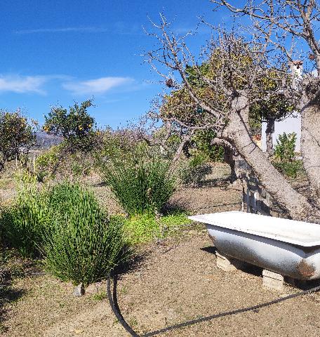 Imagen 6 Inmueble 278848 - Casa Aislada en venta en Estepona / Cerca de Guadalmansa, Estepona