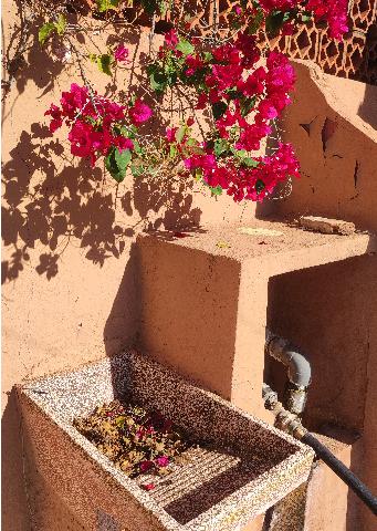 Imagen 10 Inmueble 278848 - Casa Aislada en venta en Estepona / Cerca de Guadalmansa, Estepona