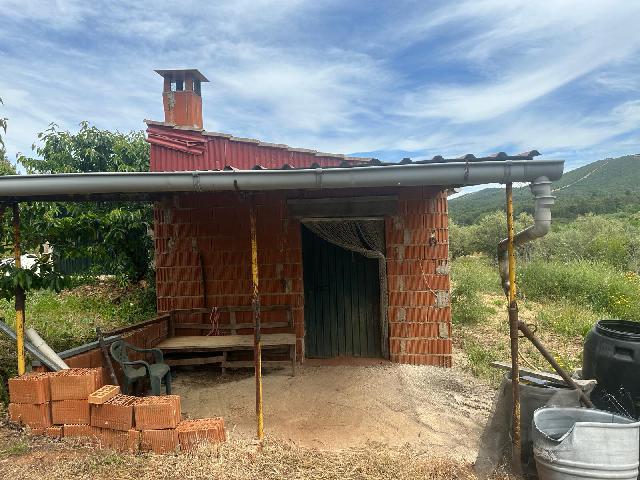 Imagen 8 Inmueble 284223 - Casa Rústica en venta en Torrecilla De Los Ángeles / Explotacion de cerezos, en Torrecilla...