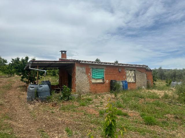 Imagen 7 Inmueble 284223 - Casa Rústica en venta en Torrecilla De Los Ángeles / Explotacion de cerezos, en Torrecilla...