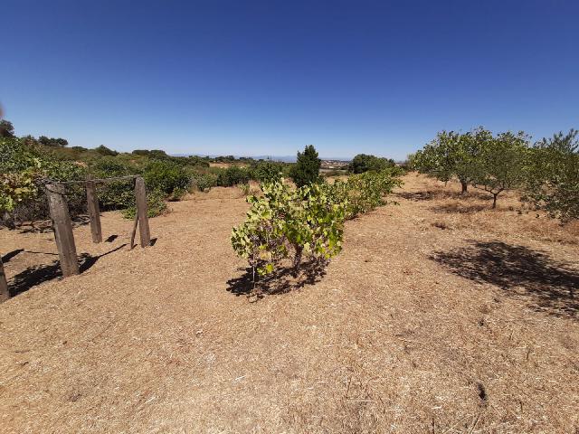 Imagen 5 Inmueble 290773 - Casa Rústica en venta en Mirabel / Mirabel cerca de Plasencia