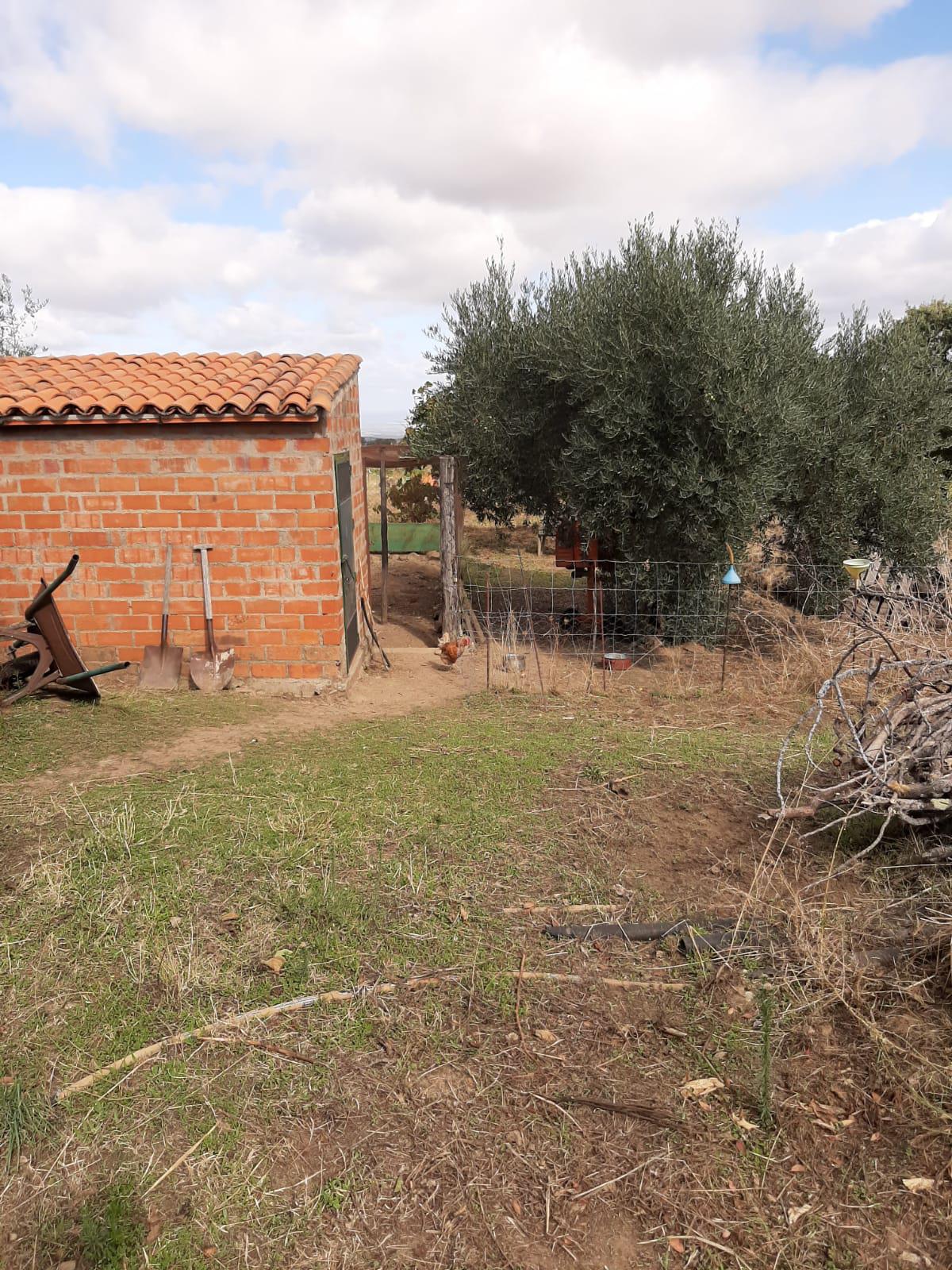 Imagen 9 Casa Rústica en venta en Mirabel / Mirabel cerca de Plasencia