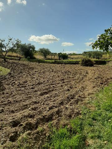 Imagen 14 Inmueble 290773 - Casa Rústica en venta en Mirabel / Mirabel cerca de Plasencia