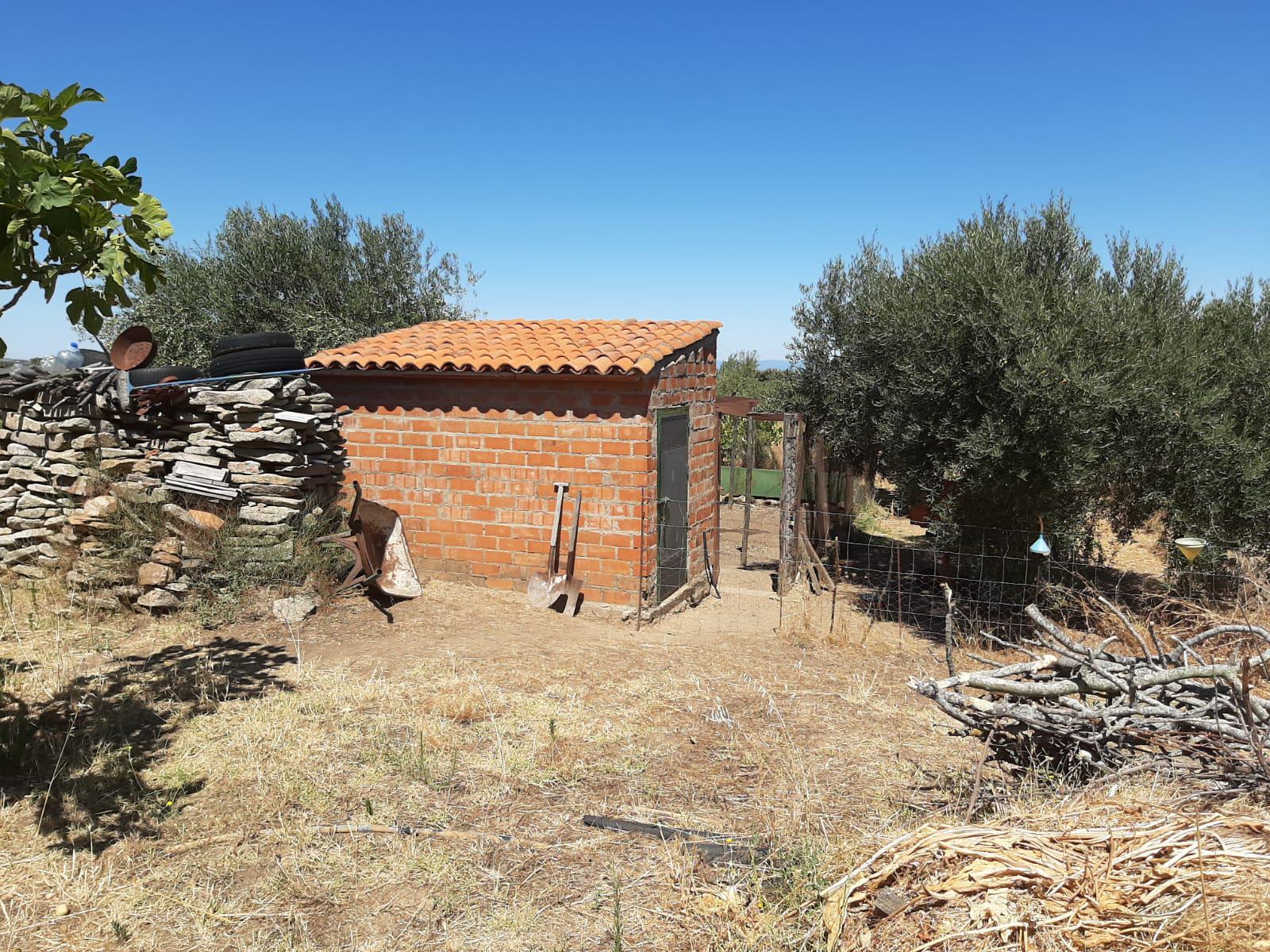 Imagen 1 Casa Rústica en venta en Mirabel / Mirabel cerca de Plasencia
