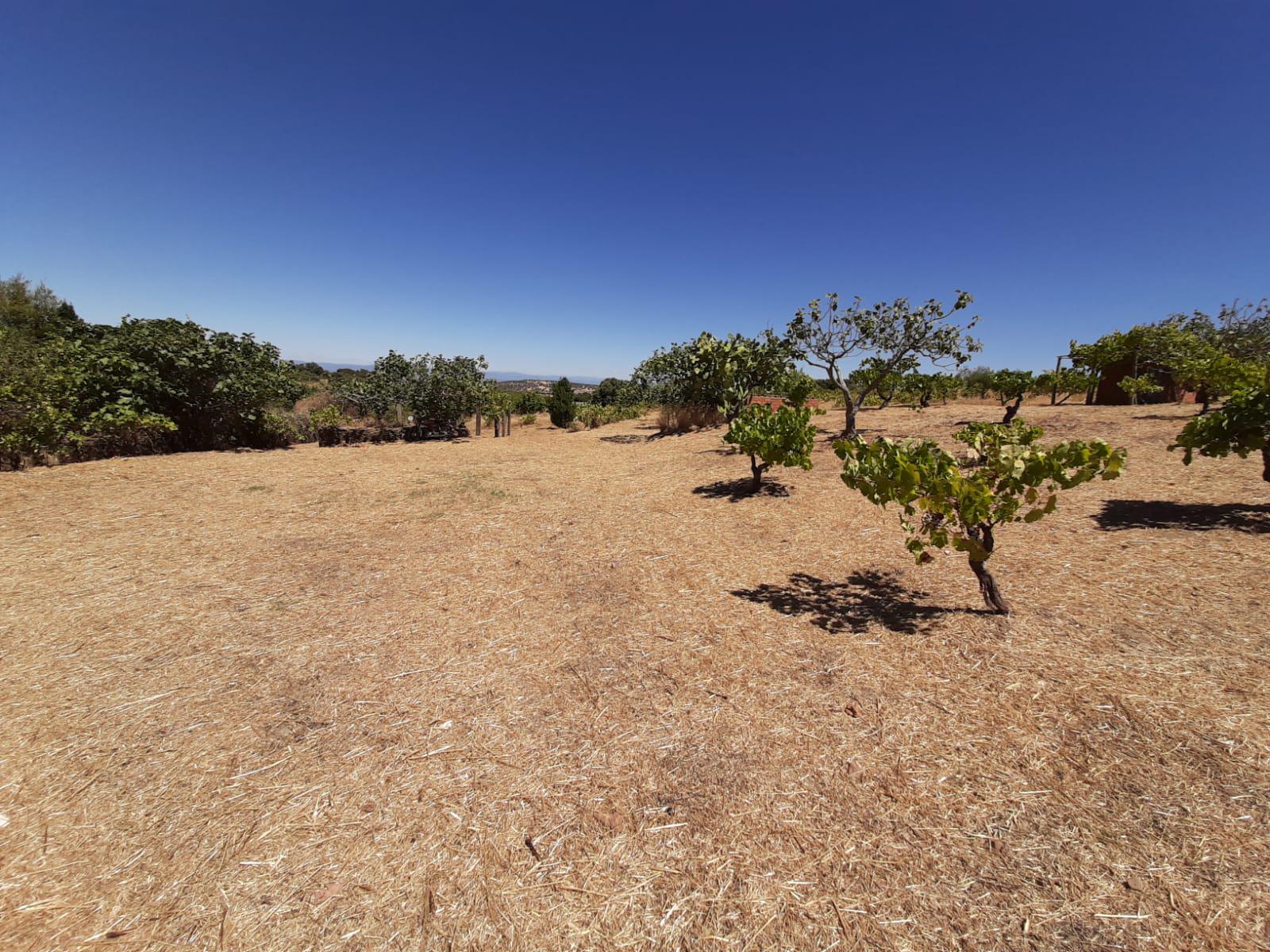 Imagen 17 Casa Rústica en venta en Mirabel / Mirabel cerca de Plasencia