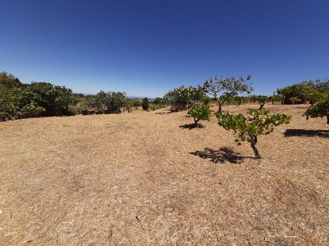 Imagen 17 Inmueble 290773 - Casa Rústica en venta en Mirabel / Mirabel cerca de Plasencia