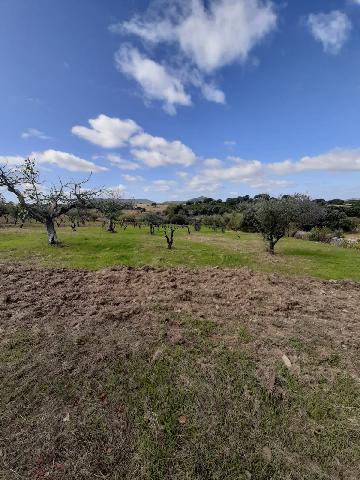 Imagen 19 Inmueble 290773 - Casa Rústica en venta en Mirabel / Mirabel cerca de Plasencia