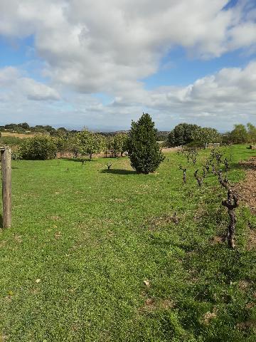 Imagen 2 Inmueble 290773 - Casa Rústica en venta en Mirabel / Mirabel cerca de Plasencia