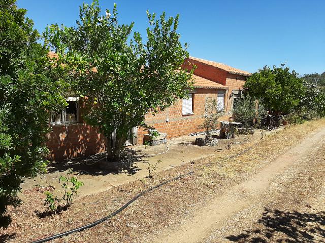 Imagen 21 Inmueble 290773 - Casa Rústica en venta en Mirabel / Mirabel cerca de Plasencia