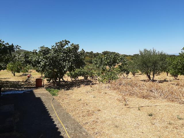 Imagen 23 Inmueble 290773 - Casa Rústica en venta en Mirabel / Mirabel cerca de Plasencia