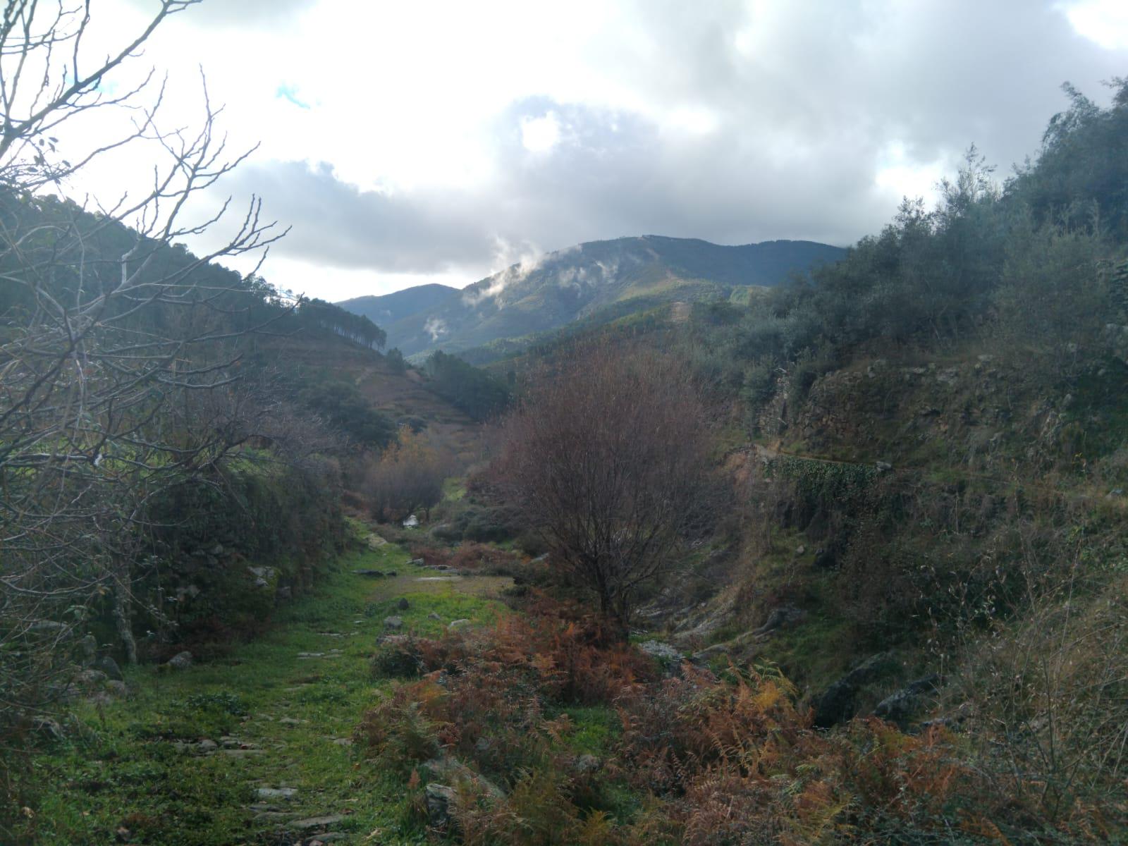 Imagen 9 Casa Rústica en venta en Pinofranqueado / Casa refugio en Ovejuela