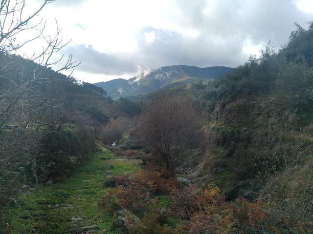 Imagen 9 Inmueble 291063 - Casa Rústica en venta en Pinofranqueado / Casa refugio en Ovejuela