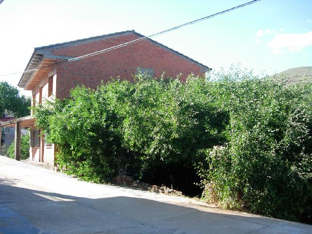 Imagen 4 Inmueble 293590 - Casa Aislada en venta en Pinofranqueado / Arqueria de Pinofranqueado