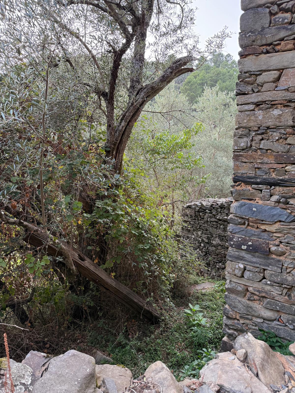 Imagen 10 Casa Adosada en venta en Pinofranqueado / Arqueria de Pinofranqueado, casa reformada.