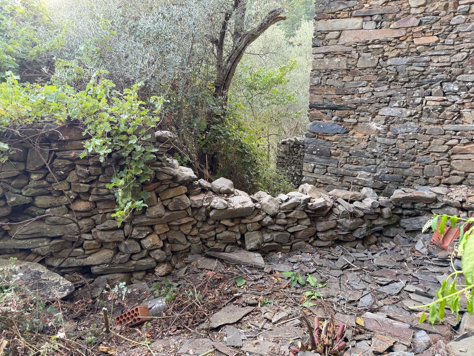 Imagen 13 Casa Adosada en venta en Pinofranqueado / Arqueria de Pinofranqueado, casa reformada.