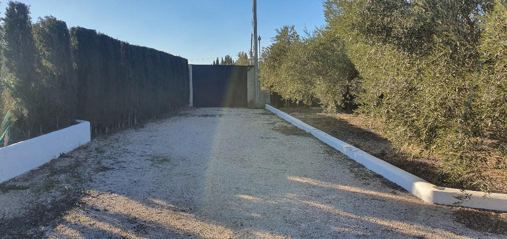 Imagen 17 Casa Aislada en venta en Hellín / Camino del canal