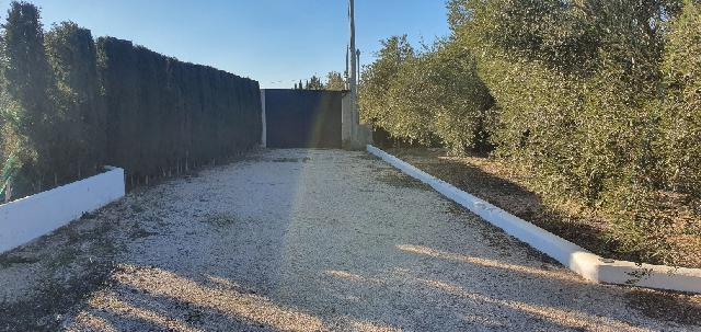 Imagen 17 Inmueble 291446 - Casa Aislada en venta en Hellín / Camino del canal