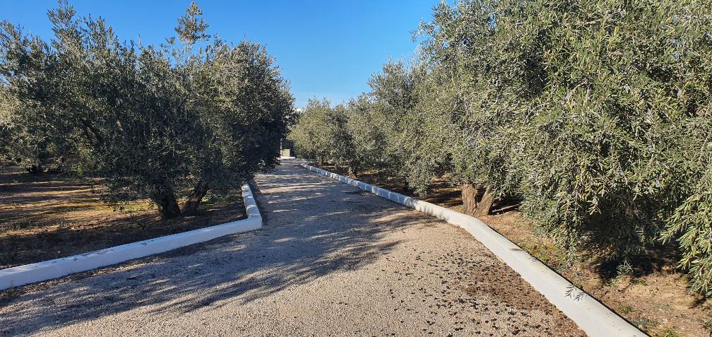 Imagen 20 Casa Aislada en venta en Hellín / Camino del canal